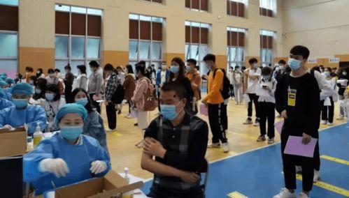 杨展最新爆料消息新闻,揭秘娱乐圈惊人内幕 第3张 杨展最新爆料消息新闻,揭秘娱乐圈惊人内幕 第3张