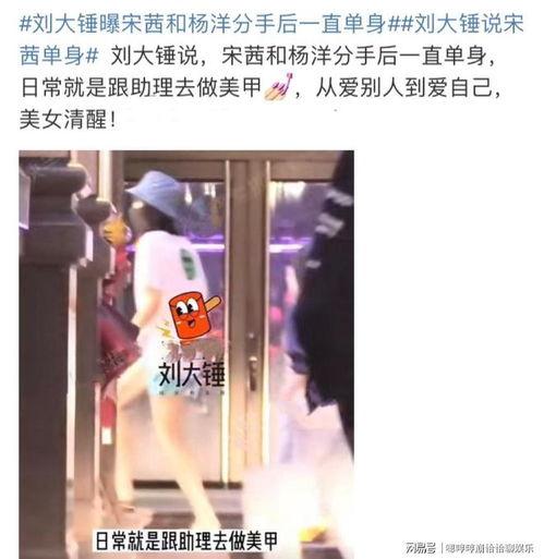 刘大锤爆料宋茜欧豪视频,恋情疑曝光？  第2张