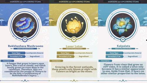 草神爆料官方视频大全集,揭秘神秘力量与奇幻冒险之旅 第3张 草神爆料官方视频大全集,揭秘神秘力量与奇幻冒险之旅 第3张