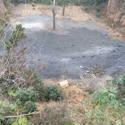 桂林平乐镇爆料事件最新,事件真相与后续进展揭晓  第3张